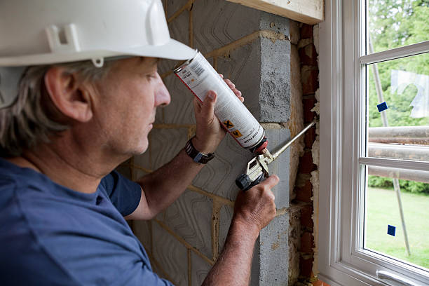 Best Home Insulation Services  in Wesley Chapel, FL