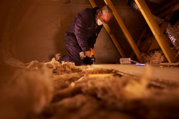 Best Affordable Insulation Services  in Wesley Chapel, FL